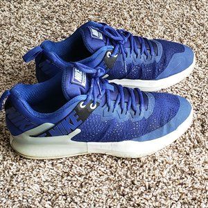 Nike Zoom Domination TR shoes